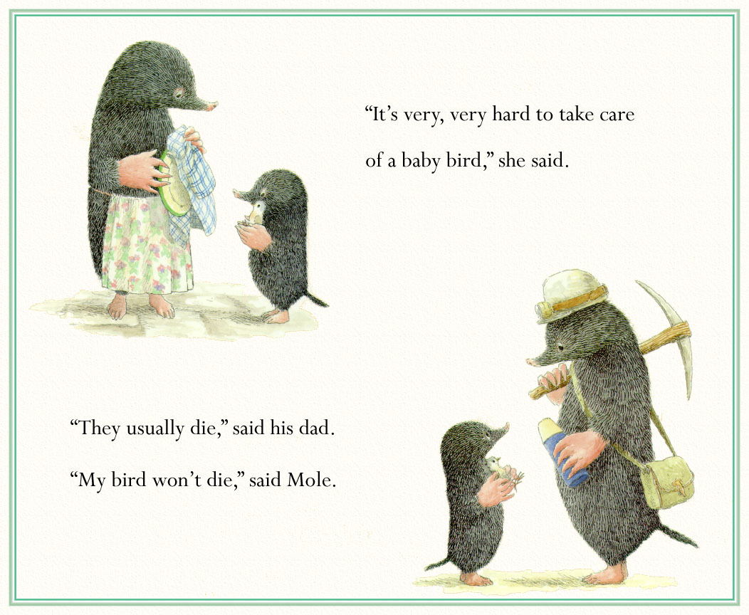 moleandthebabybird (05),绘本,绘本故事,绘本阅读,故事书,童书,图画书,课外阅读